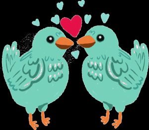 loveBirds